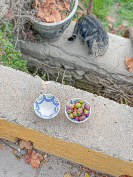  Arcadi Martín / Diseñador de espacios