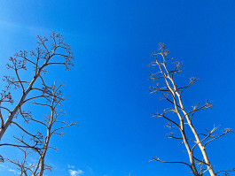  Arcadi Martín / Diseñador de espacios