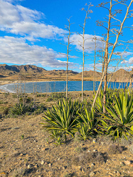  Arcadi Martín / Diseñador de espacios