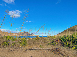  Arcadi Martín / Diseñador de espacios